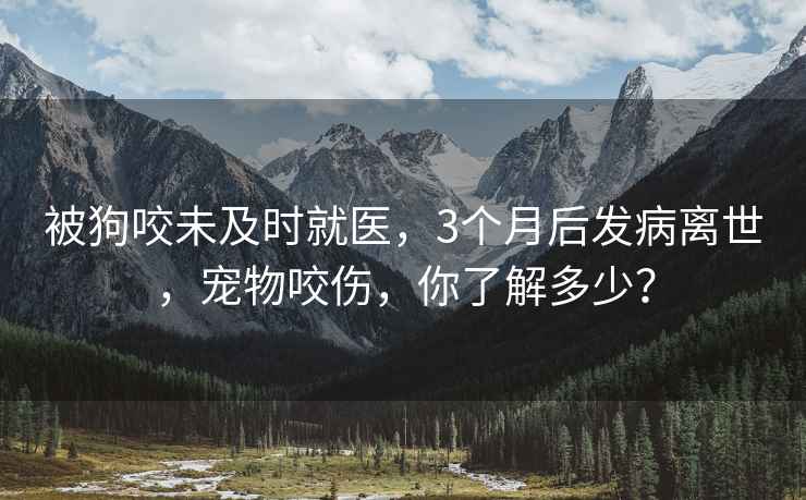 被狗咬未及時就醫(yī)，3個月后發(fā)病離世，寵物咬傷，你了解多少？
