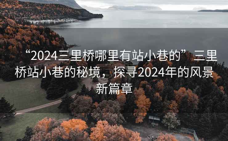 “2024三里橋哪里有站小巷的”三里橋站小巷的秘境，探尋2024年的風景新篇章