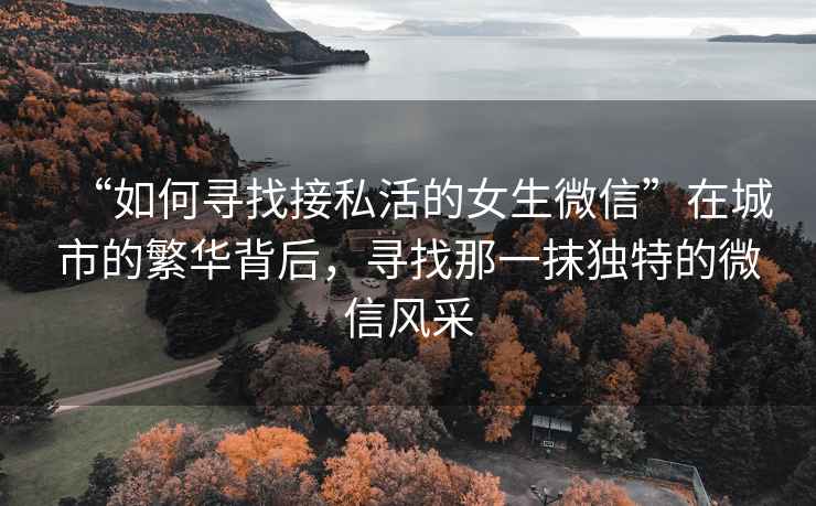 “如何尋找接私活的女生微信”在城市的繁華背后，尋找那一抹獨(dú)特的微信風(fēng)采