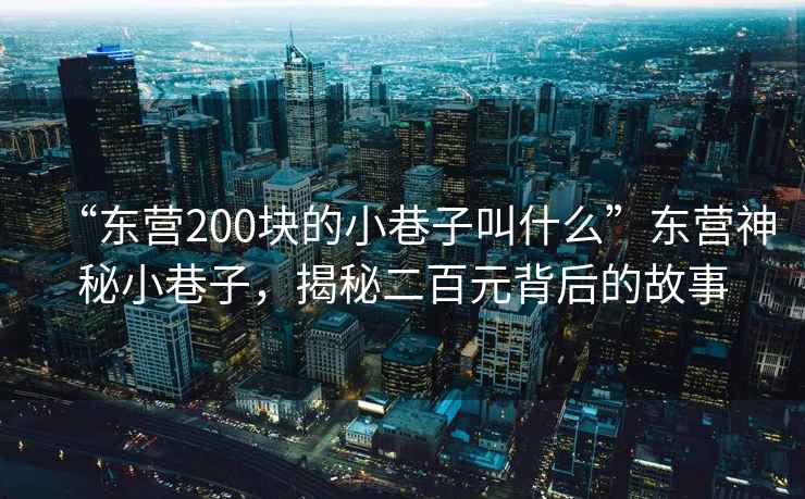 “東營(yíng)200塊的小巷子叫什么”東營(yíng)神秘小巷子，揭秘二百元背后的故事