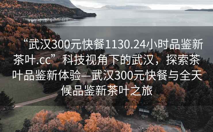 “武漢300元快餐1130.24小時(shí)品鑒新茶葉.cc”科技視角下的武漢，探索茶葉品鑒新體驗(yàn)—武漢300元快餐與全天候品鑒新茶葉之旅