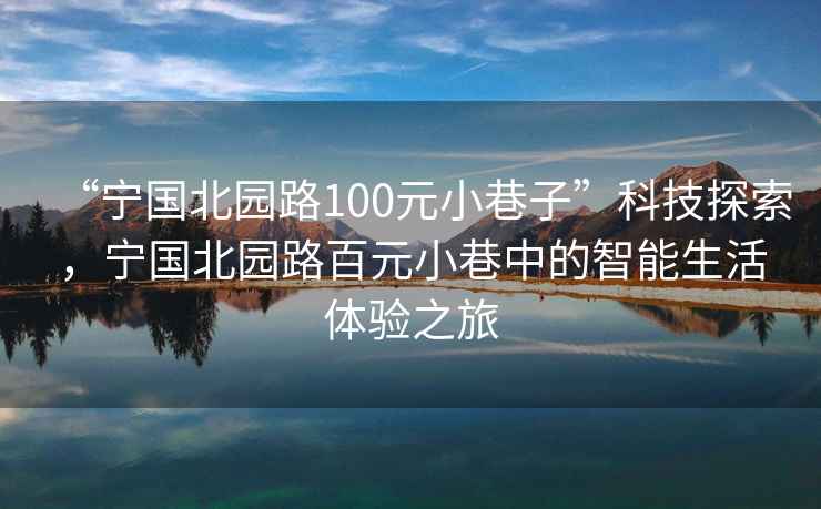 “寧國北園路100元小巷子”科技探索，寧國北園路百元小巷中的智能生活體驗之旅