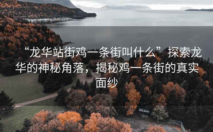 “龍華站街雞一條街叫什么”探索龍華的神秘角落，揭秘雞一條街的真實(shí)面紗