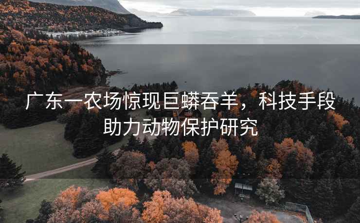 廣東一農(nóng)場驚現(xiàn)巨蟒吞羊，科技手段助力動物保護研究
