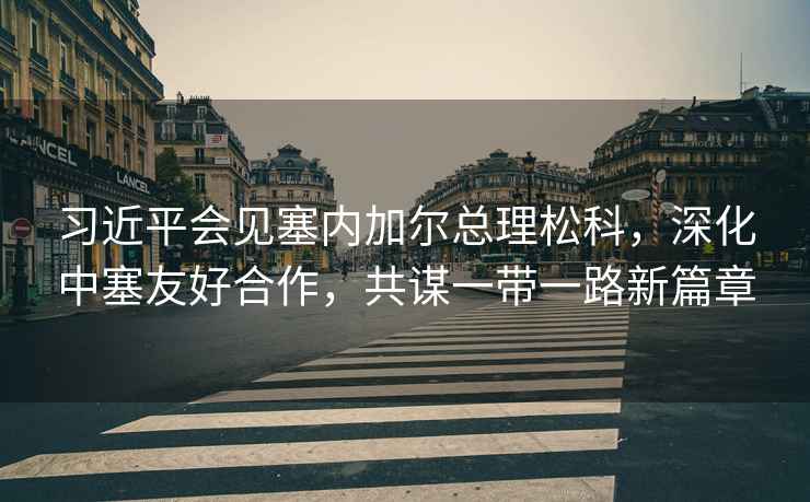習(xí)近平會見塞內(nèi)加爾總理松科，深化中塞友好合作，共謀一帶一路新篇章