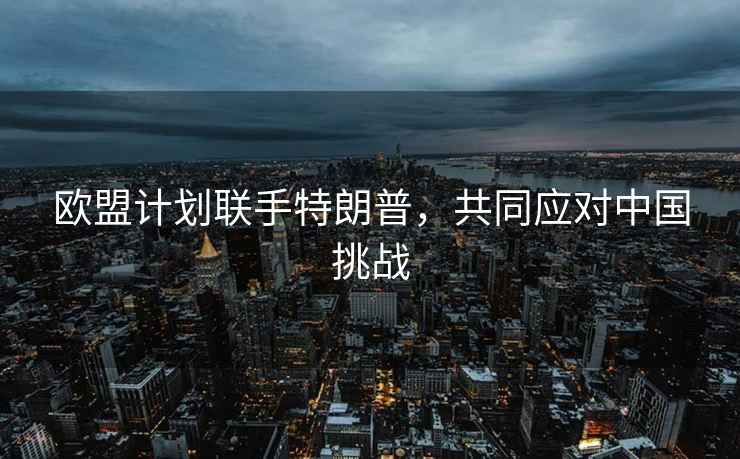 歐盟計(jì)劃聯(lián)手特朗普，共同應(yīng)對(duì)中國挑戰(zhàn)