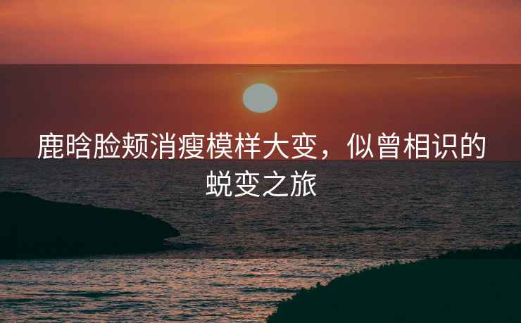 鹿晗臉頰消瘦模樣大變，似曾相識(shí)的蛻變之旅