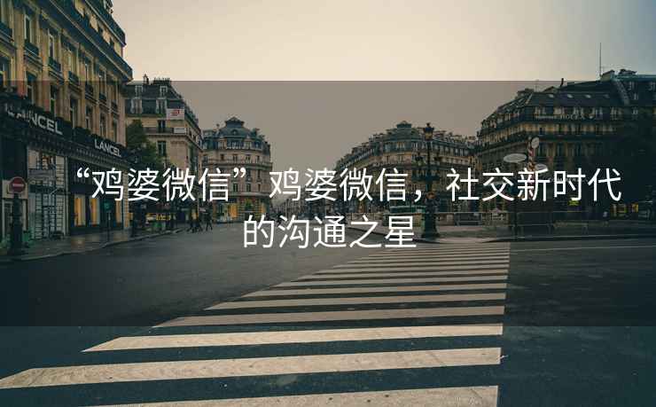 “雞婆微信”雞婆微信，社交新時代的溝通之星