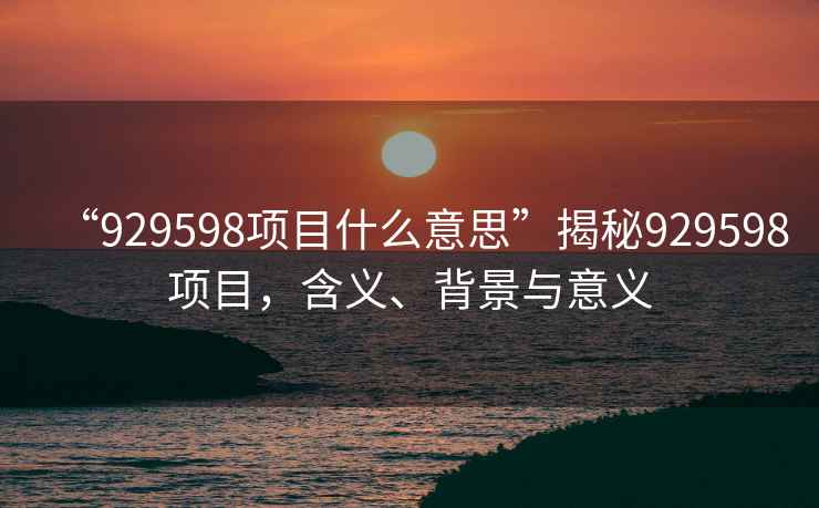 “929598項(xiàng)目什么意思”揭秘929598項(xiàng)目，含義、背景與意義