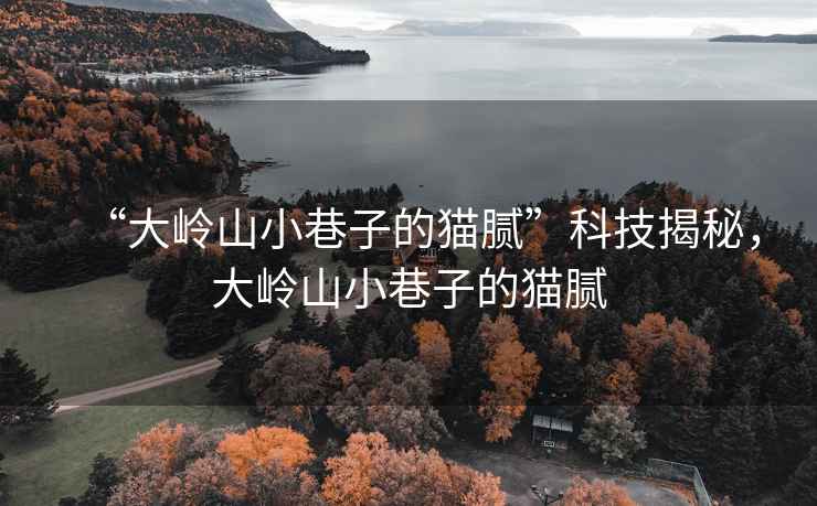 “大嶺山小巷子的貓膩”科技揭秘，大嶺山小巷子的貓膩