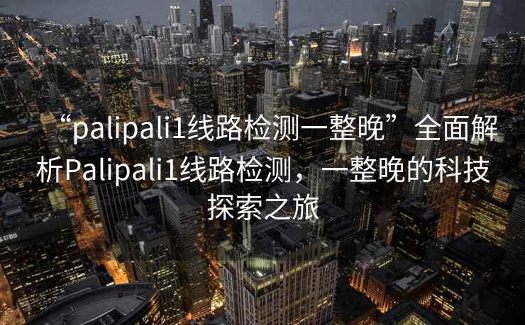 “palipali1線路檢測一整晚”全面解析Palipali1線路檢測，一整晚的科技探索之旅