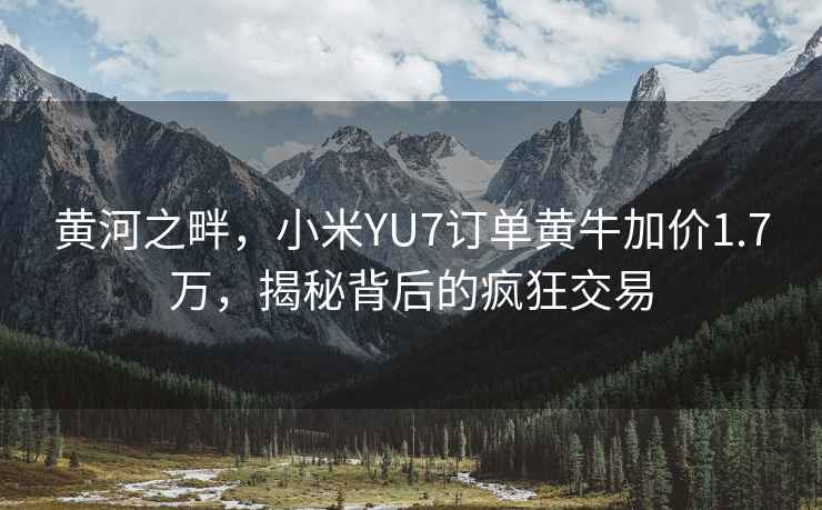 黃河之畔，小米YU7訂單黃牛加價1.7萬，揭秘背后的瘋狂交易