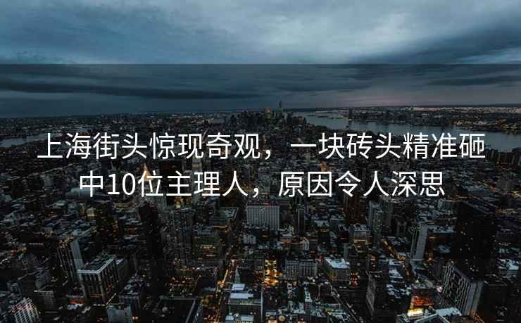 上海街頭驚現(xiàn)奇觀，一塊磚頭精準(zhǔn)砸中10位主理人，原因令人深思