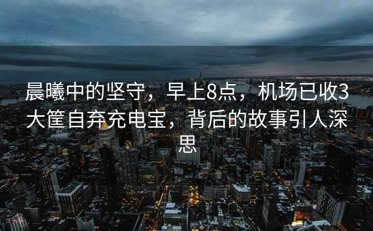 晨曦中的堅守，早上8點，機場已收3大筐自棄充電寶，背后的故事引人深思