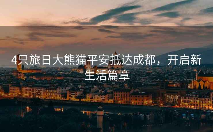 4只旅日大熊貓平安抵達(dá)成都，開啟新生活篇章