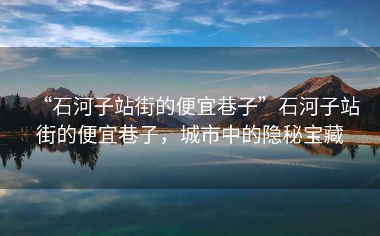 “石河子站街的便宜巷子”石河子站街的便宜巷子，城市中的隱秘寶藏