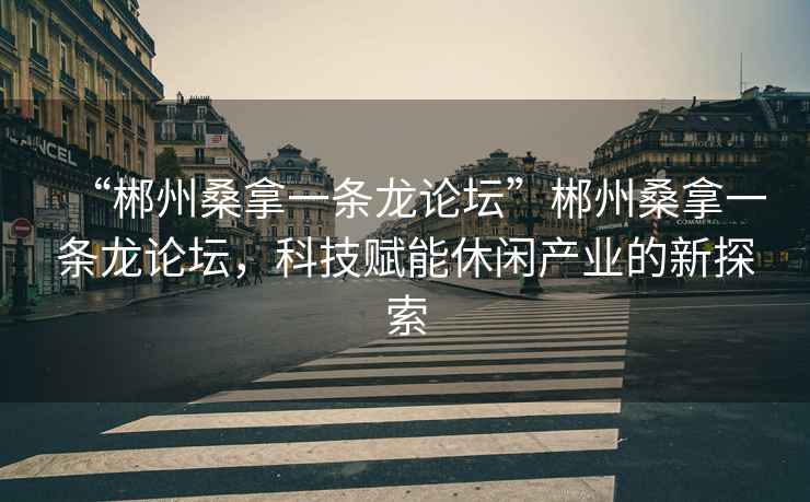 “郴州桑拿一條龍論壇”郴州桑拿一條龍論壇，科技賦能休閑產(chǎn)業(yè)的新探索