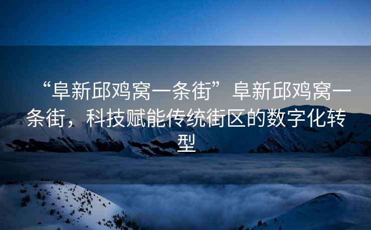“阜新邱雞窩一條街”阜新邱雞窩一條街，科技賦能傳統(tǒng)街區(qū)的數(shù)字化轉(zhuǎn)型