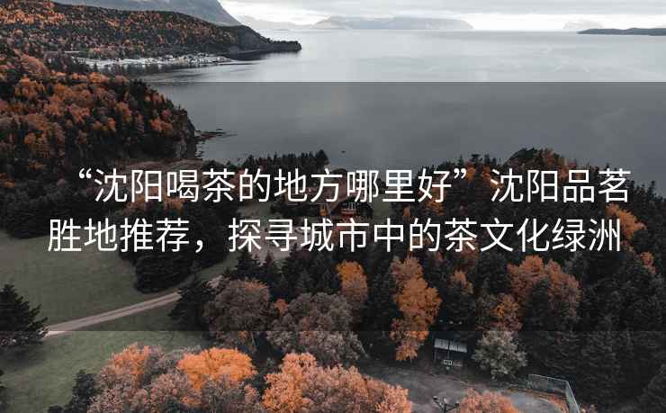 “沈陽喝茶的地方哪里好”沈陽品茗勝地推薦，探尋城市中的茶文化綠洲