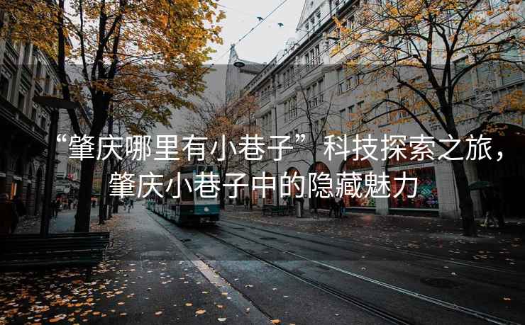 “肇慶哪里有小巷子”科技探索之旅，肇慶小巷子中的隱藏魅力
