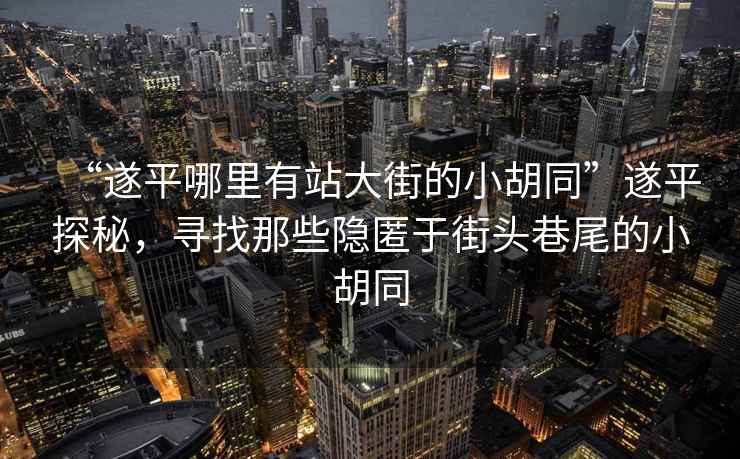 “遂平哪里有站大街的小胡同”遂平探秘，尋找那些隱匿于街頭巷尾的小胡同
