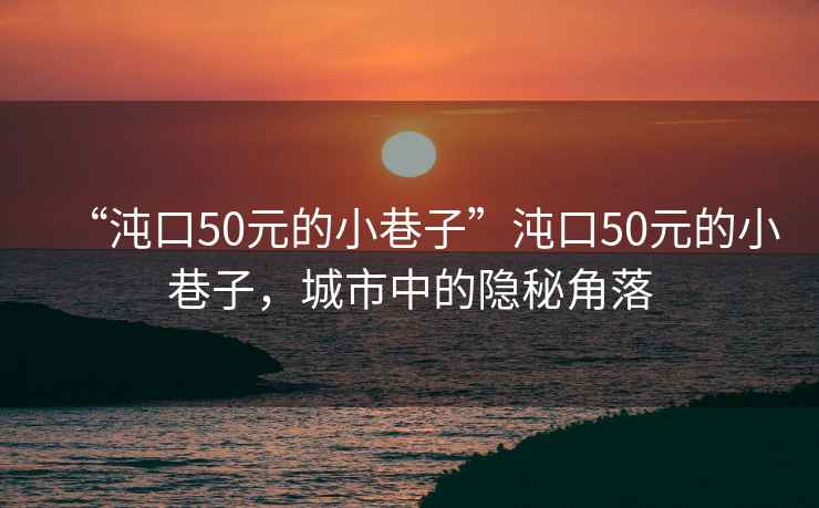 “沌口50元的小巷子”沌口50元的小巷子，城市中的隱秘角落