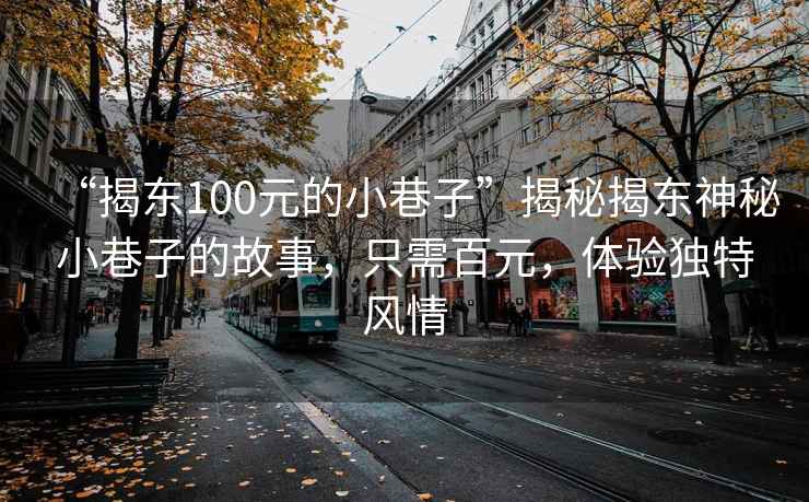 “揭東100元的小巷子”揭秘揭東神秘小巷子的故事，只需百元，體驗(yàn)獨(dú)特風(fēng)情