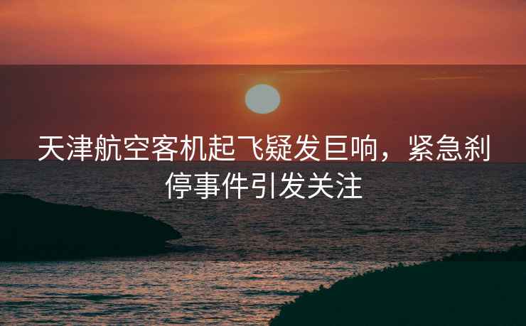 天津航空客機(jī)起飛疑發(fā)巨響，緊急剎停事件引發(fā)關(guān)注