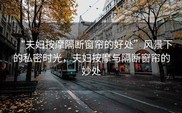 “夫婦按摩隔斷窗簾的好處”風(fēng)景下的私密時(shí)光，夫婦按摩與隔斷窗簾的妙處