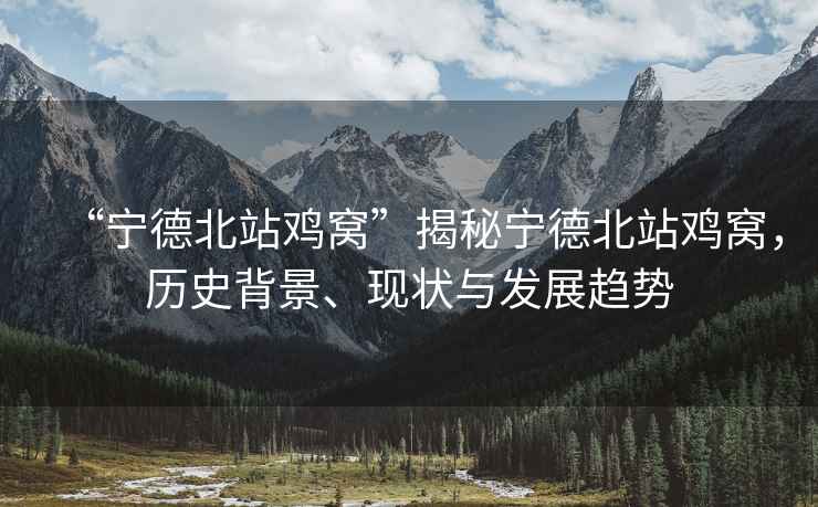 “寧德北站雞窩”揭秘寧德北站雞窩，歷史背景、現(xiàn)狀與發(fā)展趨勢(shì)