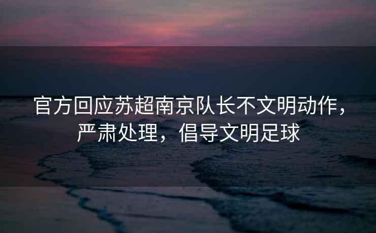 官方回應(yīng)蘇超南京隊(duì)長不文明動(dòng)作，嚴(yán)肅處理，倡導(dǎo)文明足球