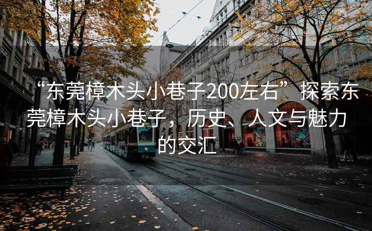 “東莞樟木頭小巷子200左右”探索東莞樟木頭小巷子，歷史、人文與魅力的交匯