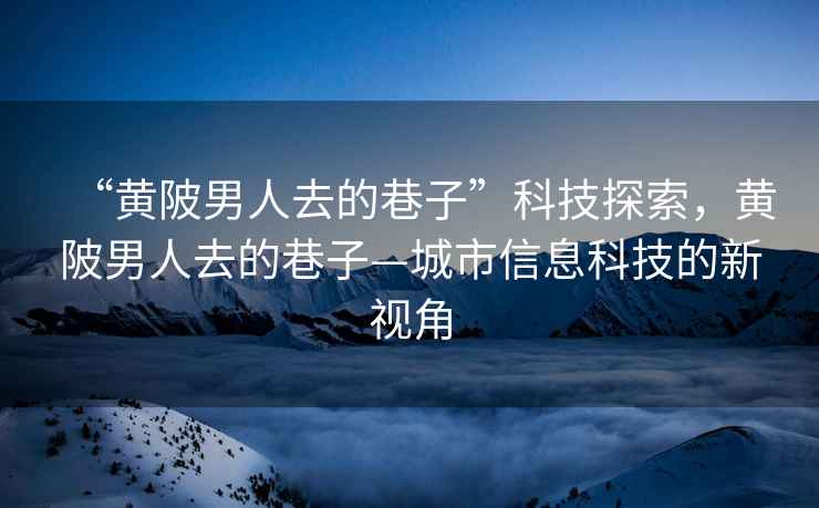 “黃陂男人去的巷子”科技探索，黃陂男人去的巷子—城市信息科技的新視角