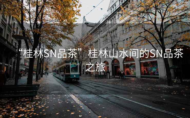 “桂林SN品茶”桂林山水間的SN品茶之旅
