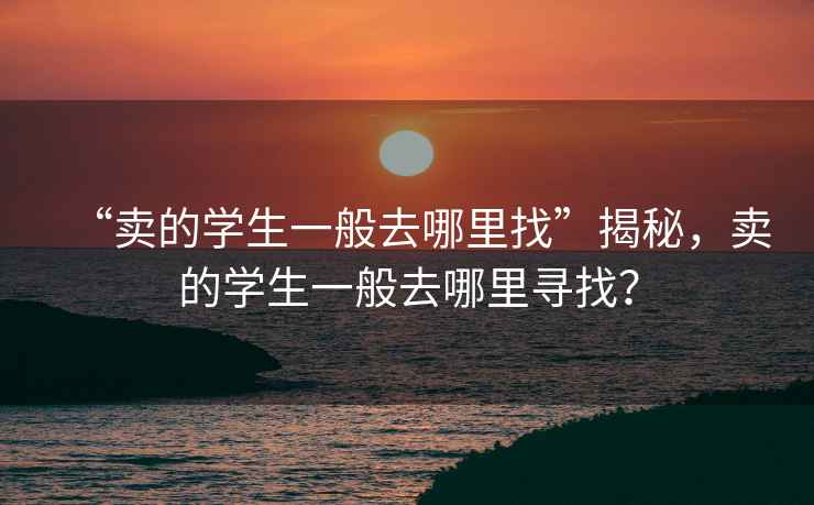 “賣的學(xué)生一般去哪里找”揭秘，賣的學(xué)生一般去哪里尋找？