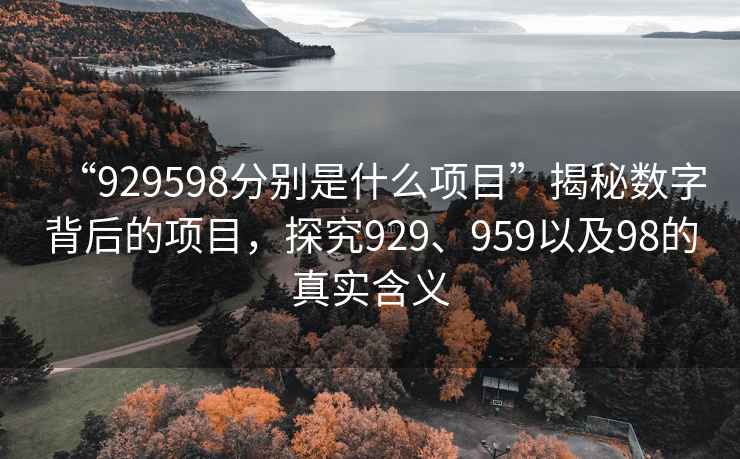“929598分別是什么項目”揭秘數(shù)字背后的項目，探究929、959以及98的真實含義