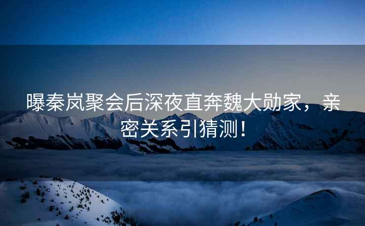 曝秦嵐聚會(huì)后深夜直奔魏大勛家，親密關(guān)系引猜測(cè)！