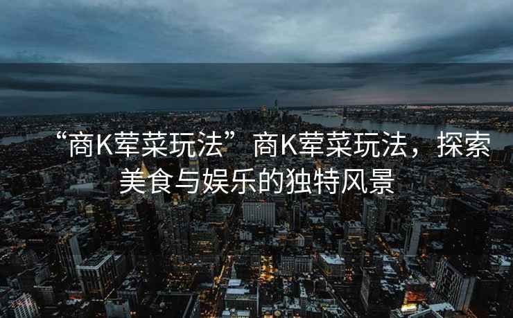 “商K葷菜玩法”商K葷菜玩法，探索美食與娛樂的獨特風景