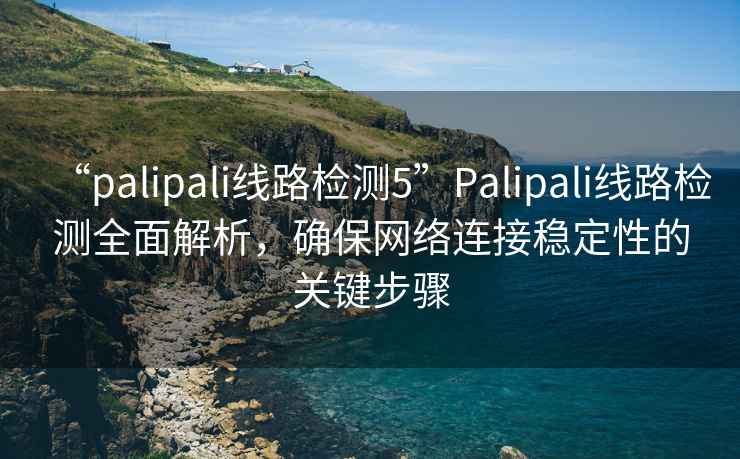 “palipali線路檢測5”Palipali線路檢測全面解析，確保網(wǎng)絡(luò)連接穩(wěn)定性的關(guān)鍵步驟