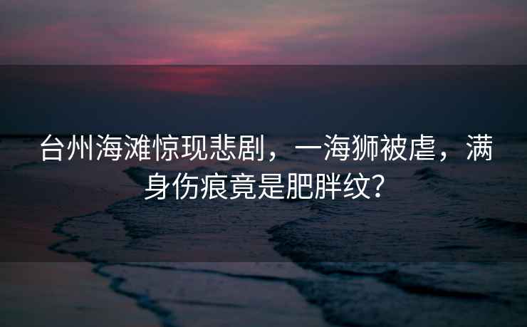 臺(tái)州海灘驚現(xiàn)悲劇，一海獅被虐，滿身傷痕竟是肥胖紋？