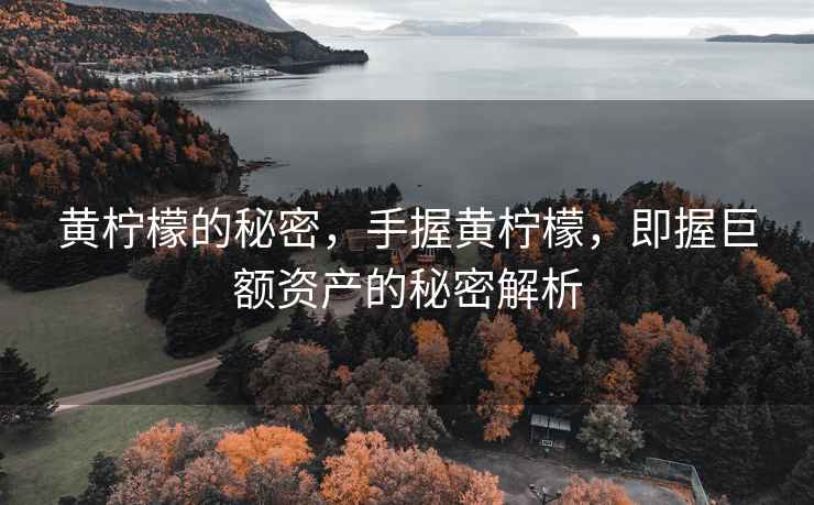 黃檸檬的秘密，手握黃檸檬，即握巨額資產(chǎn)的秘密解析