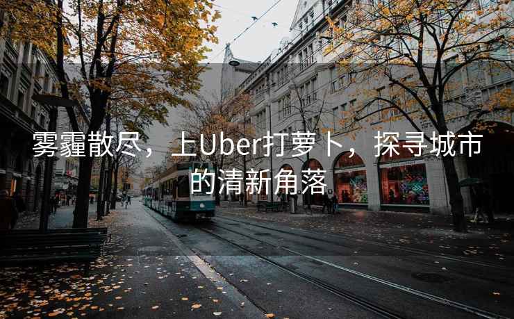 霧霾散盡，上Uber打蘿卜，探尋城市的清新角落