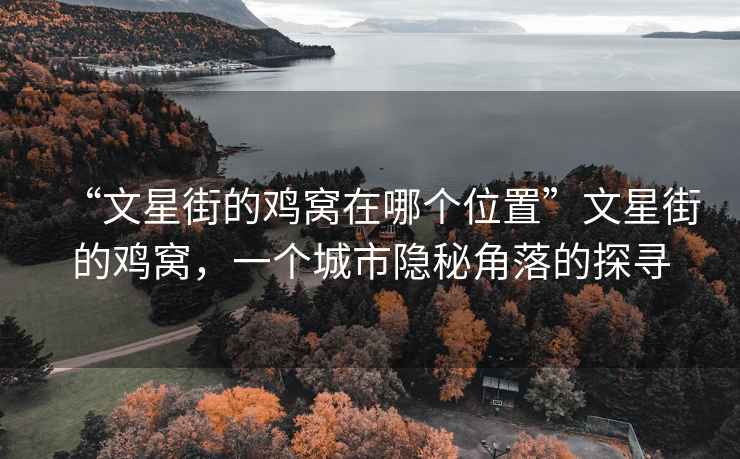 “文星街的雞窩在哪個位置”文星街的雞窩，一個城市隱秘角落的探尋