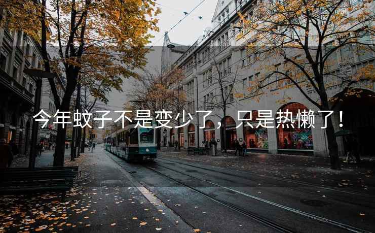 今年蚊子不是變少了，只是熱懶了！