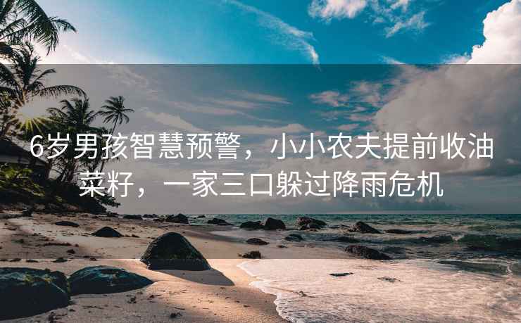 6歲男孩智慧預警，小小農夫提前收油菜籽，一家三口躲過降雨危機