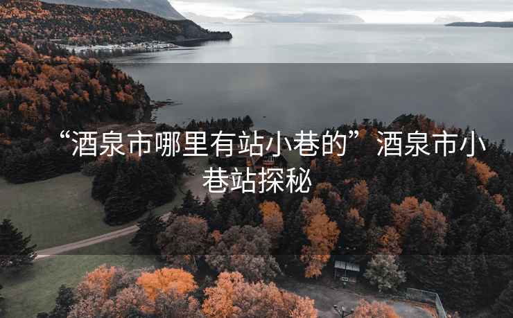 “酒泉市哪里有站小巷的”酒泉市小巷站探秘