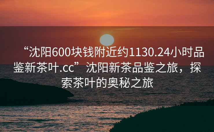 “沈陽600塊錢附近約1130.24小時品鑒新茶葉.cc”沈陽新茶品鑒之旅，探索茶葉的奧秘之旅