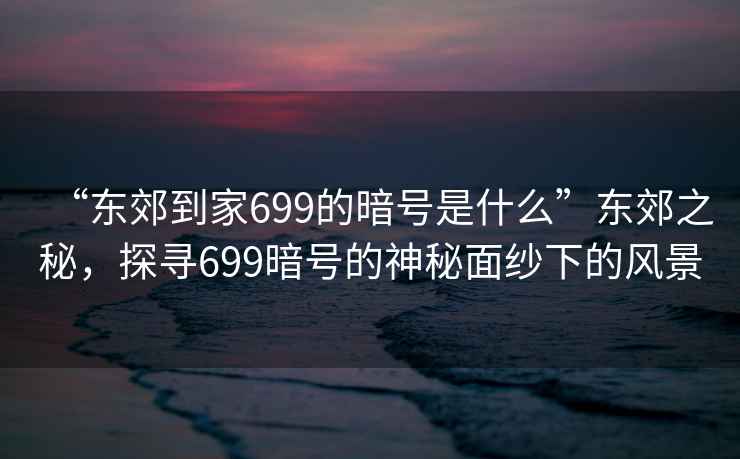 “東郊到家699的暗號是什么”東郊之秘，探尋699暗號的神秘面紗下的風景