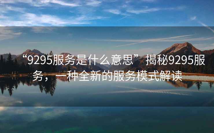 “9295服務(wù)是什么意思”揭秘9295服務(wù)，一種全新的服務(wù)模式解讀
