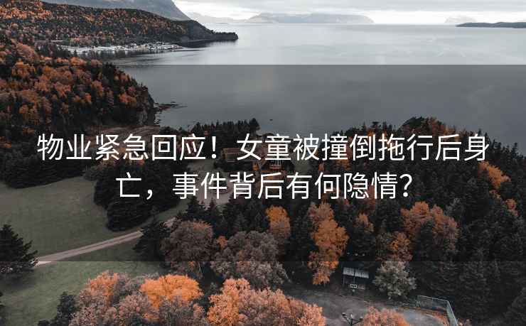 物業(yè)緊急回應(yīng)！女童被撞倒拖行后身亡，事件背后有何隱情？